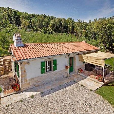 Villa Roinizza in Prtlog  Labin  Exterior foto