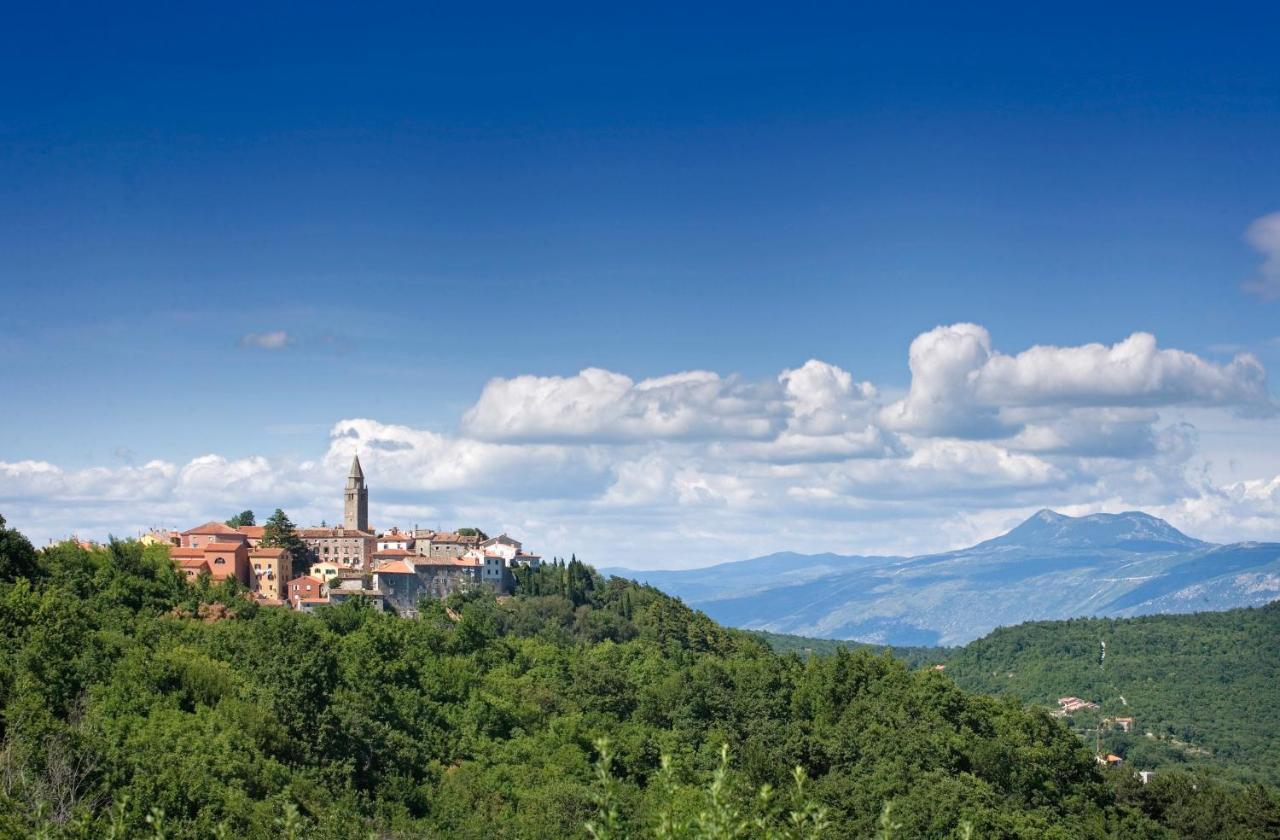Villa Roinizza in Prtlog  Labin  Exterior foto