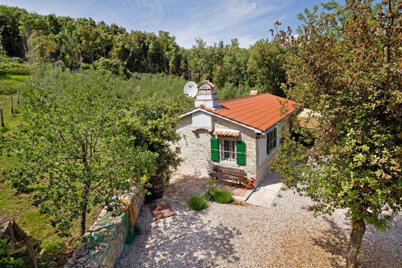 Villa Roinizza in Prtlog  Labin  Exterior foto