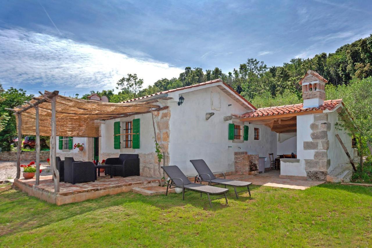 Villa Roinizza in Prtlog  Labin  Exterior foto