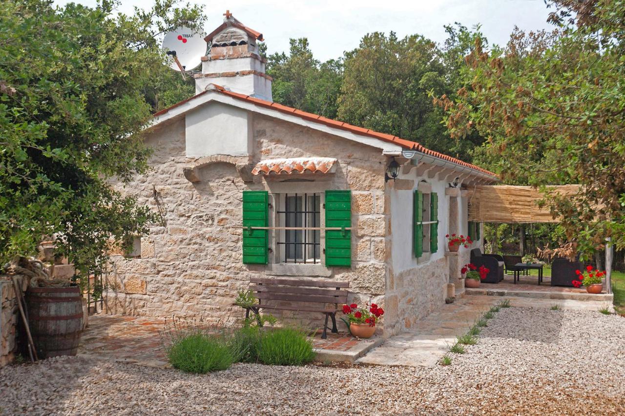 Villa Roinizza in Prtlog  Labin  Exterior foto