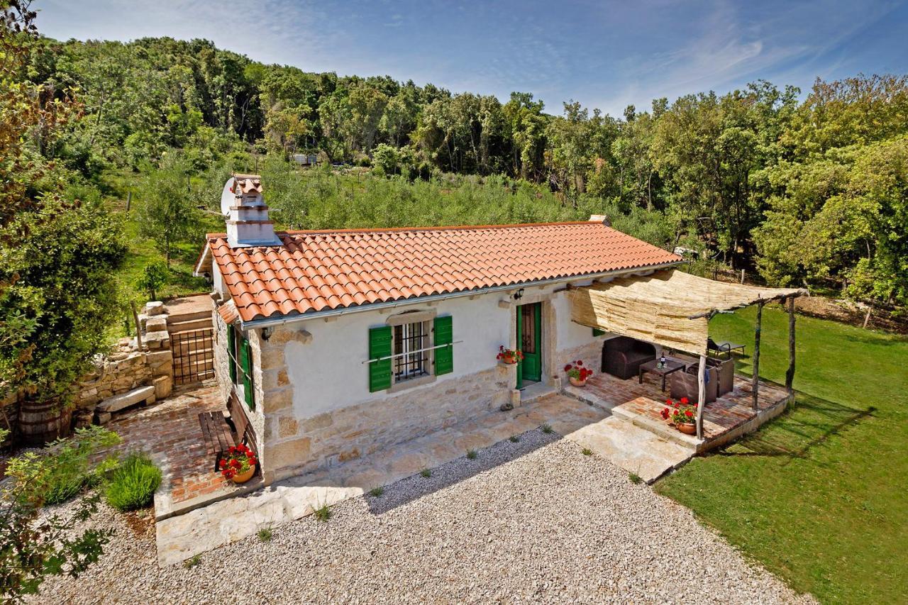 Villa Roinizza in Prtlog  Labin  Exterior foto
