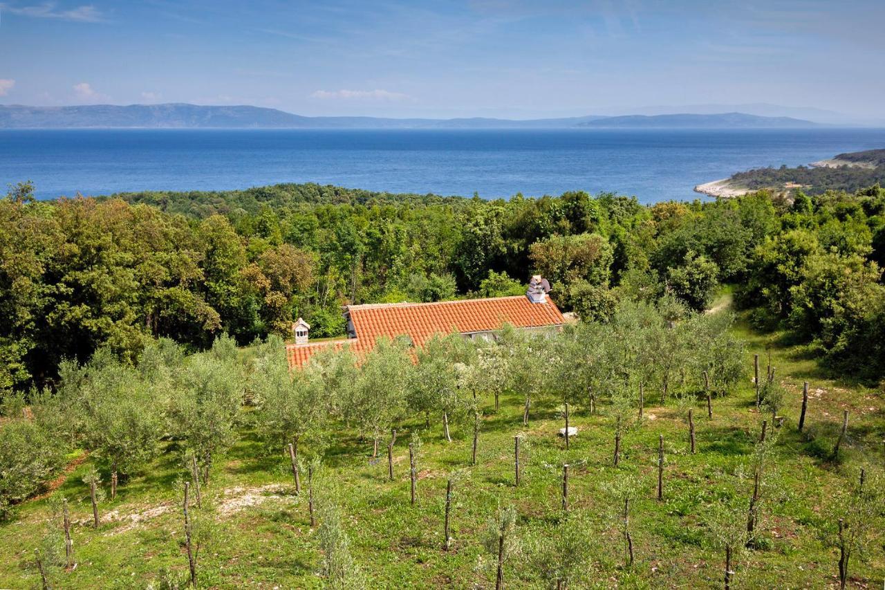 Villa Roinizza in Prtlog  Labin  Exterior foto